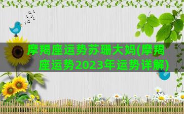 摩羯座运势苏珊大妈(摩羯座运势2023年运势详解)