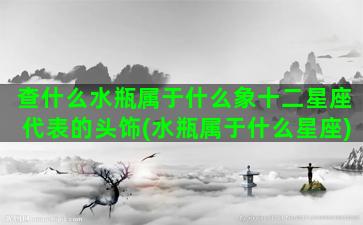 查什么水瓶属于什么象十二星座代表的头饰(水瓶属于什么星座)