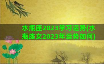 水瓶座2023学习运势(水瓶座女2023年运势如何)