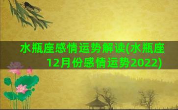 水瓶座感情运势解读(水瓶座12月份感情运势2022)