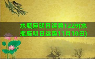 水瓶座明日运势1229(水瓶座明日运势11月10日)