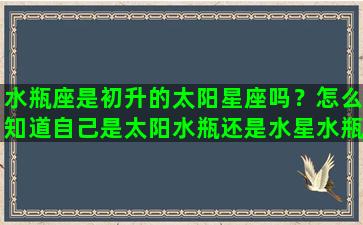 水瓶座是初升的太阳星座吗？怎么知道自己是太阳水瓶还是水星水瓶