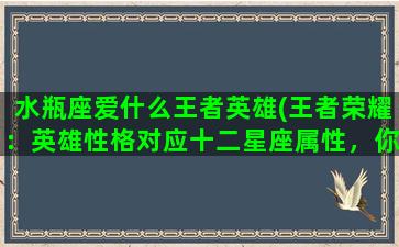 水瓶座爱什么王者英雄(王者荣耀：英雄性格对应十二星座属性，你属于哪个)