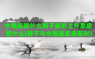 水瓶座跟什么狮子座的上升星座是什么(狮子与水瓶座星座配对)