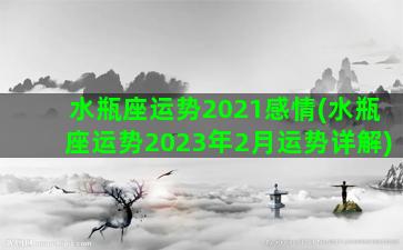 水瓶座运势2021感情(水瓶座运势2023年2月运势详解)