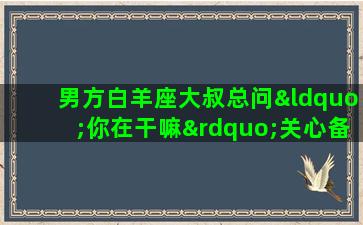 男方白羊座大叔总问“你在干嘛”关心备至，每天聊很久，但他又说不是追我。怎么了