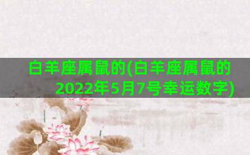 白羊座属鼠的(白羊座属鼠的2022年5月7号幸运数字)