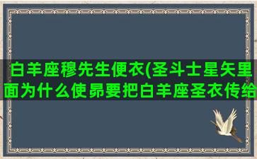 白羊座穆先生便衣(圣斗士星矢里面为什么使昴要把白羊座圣衣传给穆)