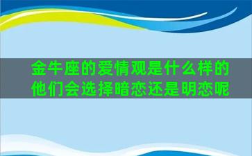 金牛座的爱情观是什么样的他们会选择暗恋还是明恋呢